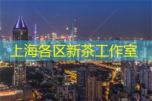 了解上海的网络文化发展